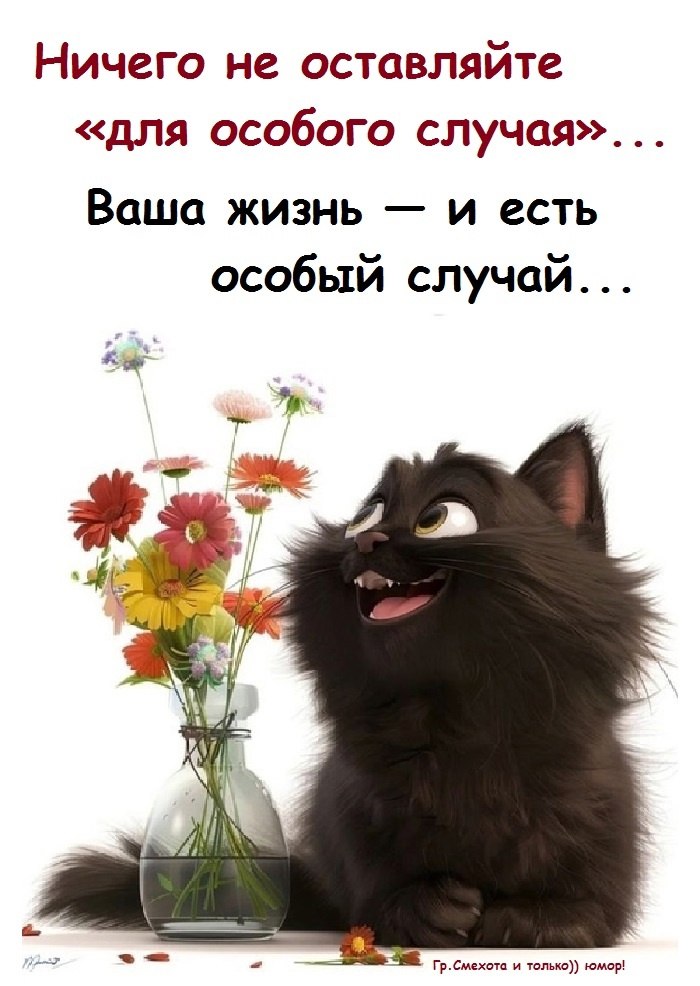  - 6  2025  06:19