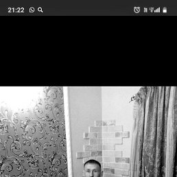 ��������, 38 ���, ���������