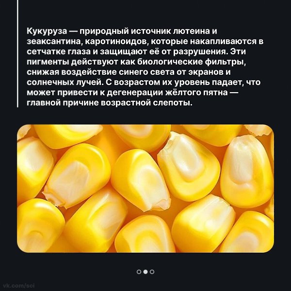����������� | ������ | ����� �� 5 - 9 ������� 2025 � 22:47 - 2
