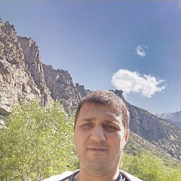 , 43, 