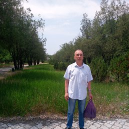 , 62, 