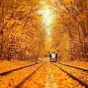 ���� ����, �����-��������� - ��������� 11 ������� 2025 � ������ ������ ��������