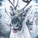 ���� ����, ������, 22 ���� - ��������� 30 ���� 2026 � ������ ���� ����������