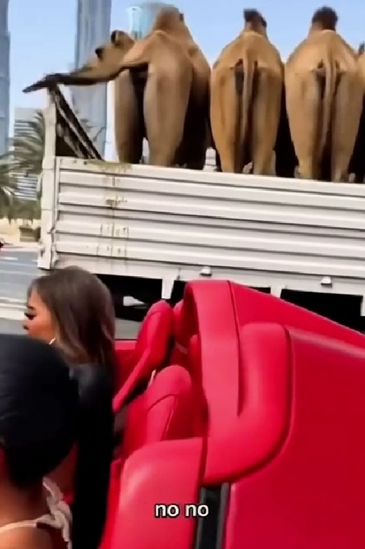 ����� �� ������������� - 2