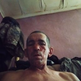 ������, ������, 52 ����