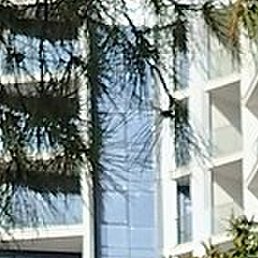 �����, �������, 43 ����