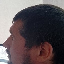 , 36, 