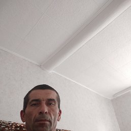 , 39, 