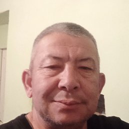 , 56, 