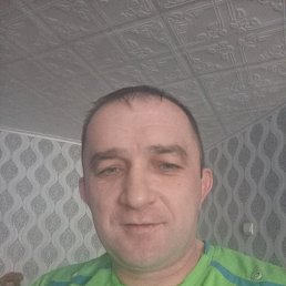 ���� ���������, ������, 41 ��� - ��������� 15 ������ 2024