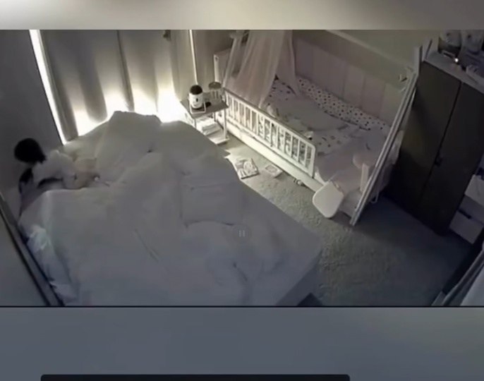 � ����� ������ ��������� ������ ����� ��������� ������ ����.