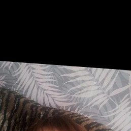 , 49, 
