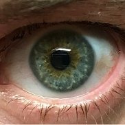 , 43 , 