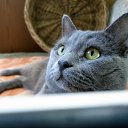 ���� ����������, �������, 51 ��� - ��������� 30 ������ 2025 � ������ ������ ��������