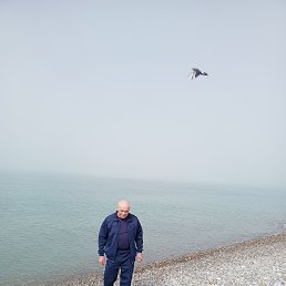 , 61, 