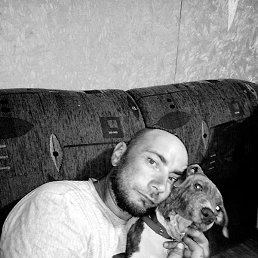 ���� ���� 85, ������, 39 ���