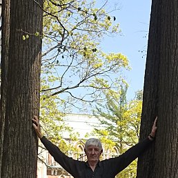 ���� �������� ����������, ���������, 56 ��� - ��������� 25 ��� 2024