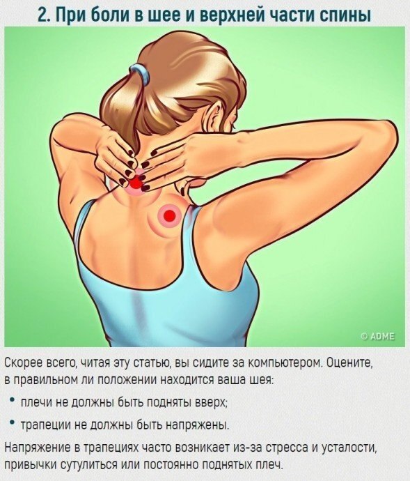 ����������, ������� ���������� �� ������ �������� ������ � ������� ������������ ���������� - 3