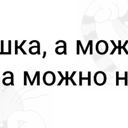 &V&, �����