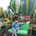 ���� ���� *********, ������ - ��������� 29 ���� 2026 � ������ ���� ����������