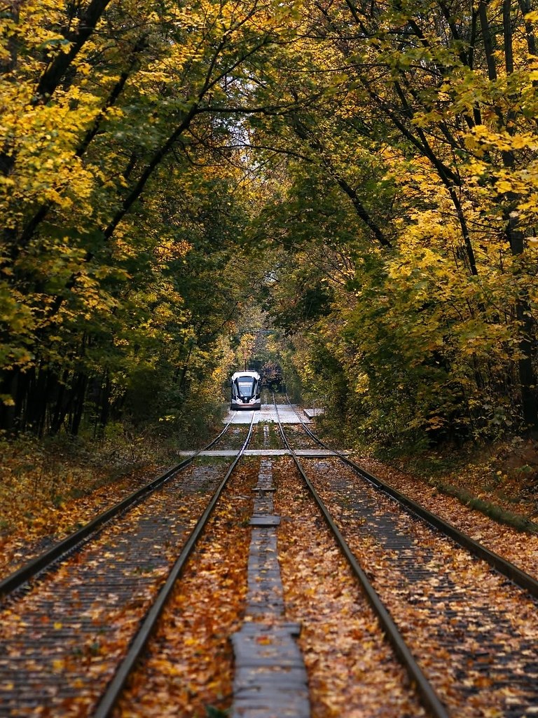 ��� �� ������� ������ � ������! ����: ksarzie - 2