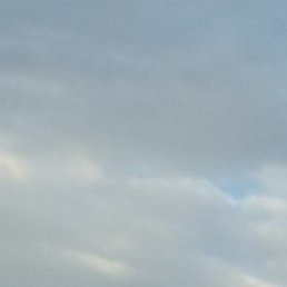 ��������� �����������, ���������, 56 ���