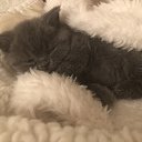 ���� ����, �����, 60 ��� - ��������� 24 ������ 2025 � ������ ������ ��������