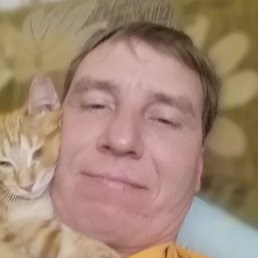 �������, ������, 40 ���