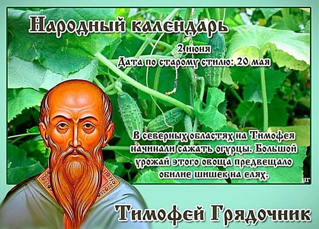 ��e����: ���������, �������, ����, �����, ������, �������, ��, �������. - 2