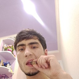 ���� ����, ��������, 26 ��� - ��������� 12 ���� 2026