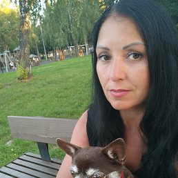 , 38, 
