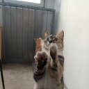 ���� �������, �����-���������, 60 ��� - ��������� 12 ������ 2023