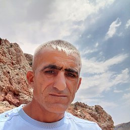, 40, 