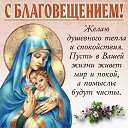 ���� ������, ������ - ��������� 7 ������ 2026 � ������ ������ ��������