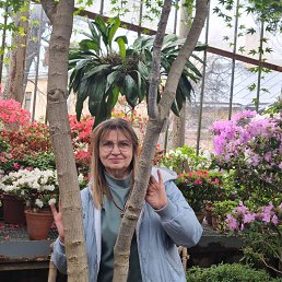 ���� �����, �����-���������, 62 ���� - ��������� 11 ��� 2025