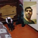 ���� ������, ����, 42 ���� - ��������� 11 ������� 2025 � ������ ���� ����������