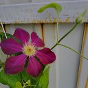 ���� �������, ������� - ��������� 20 ������� 2023 � ������ ����