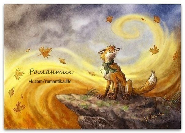 ����� ������� �� ����� �����. ���� ������� �� ���� �����, ������, �������, ������