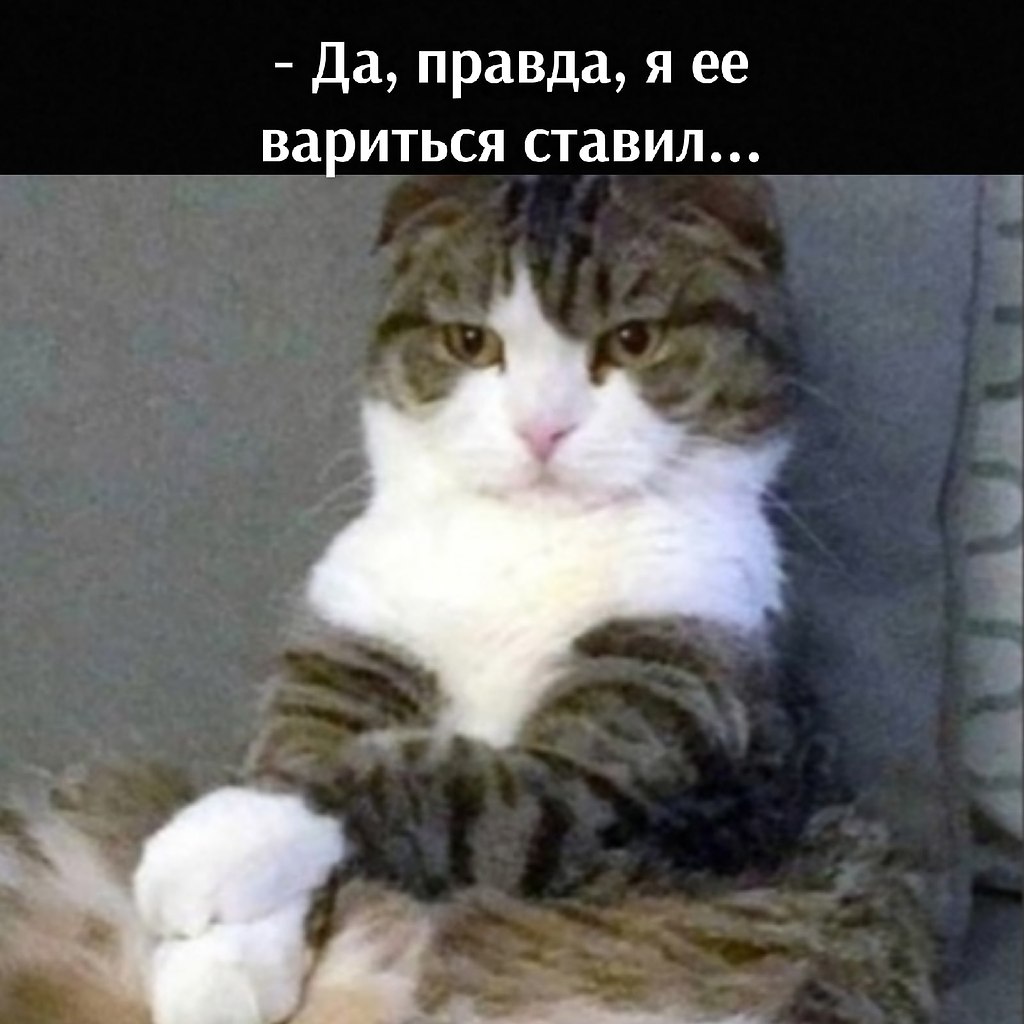 ��� ���� � ����� �� �� - 26 ��� 2026 � 12:55 - 3