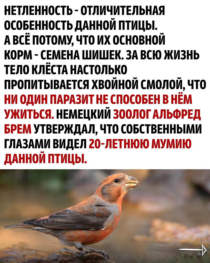     - 2