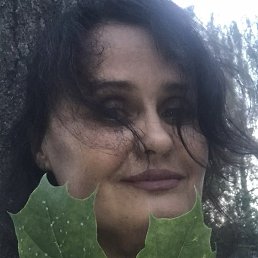 ����, �����������