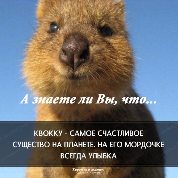 � ������ �� ��, ���...