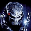 ���� ���������, ������, 44 ���� - ��������� 17 ������ 2024 � ������ ���� ����������