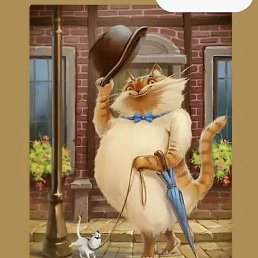 ������, ������, 55 ���