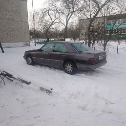 ����, ������, 49 ���