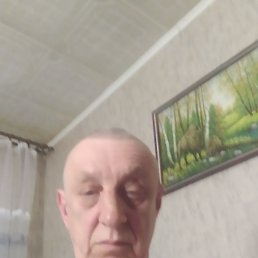 , 61, 