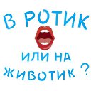 ���� Nikita, ��������, 20 ��� - ��������� 19 ������� 2023