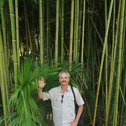 ������, �������������, 58 ���