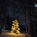 ���� �������, �����-���������, 49 ��� - ��������� 24 ������ 2026 � ������ ���� ����������