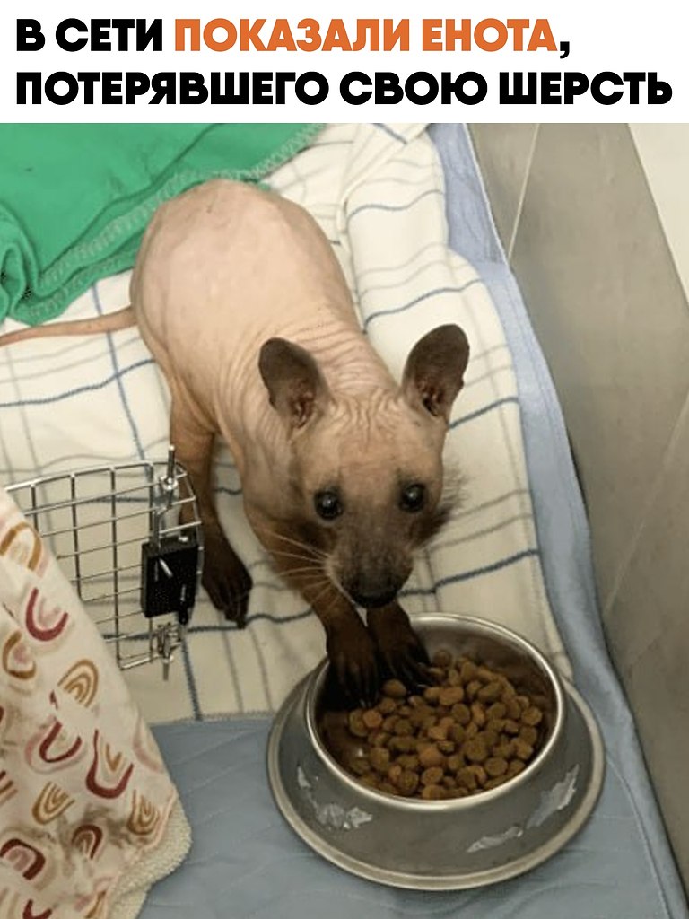 ,  :   ,   .     ...